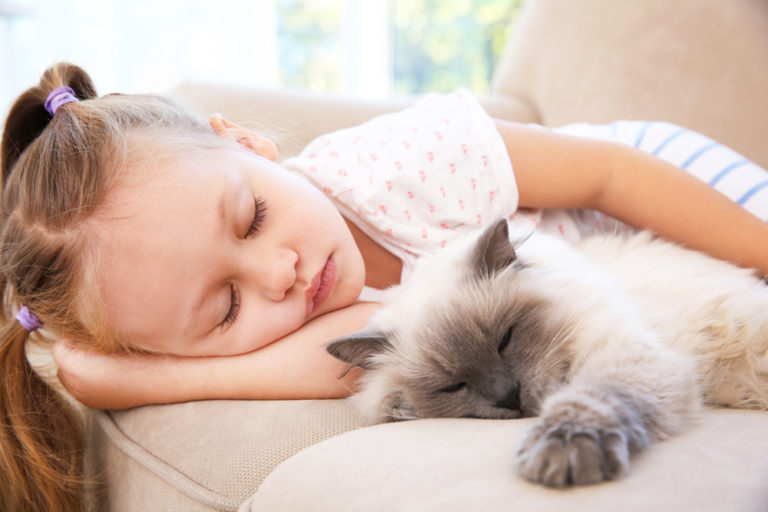 Whisker Fabulous Should you Sleep with your cat?