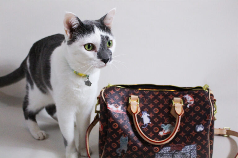 Whisker Fabulous' Farley Waddlesworth and his Catogram Speedy Bag