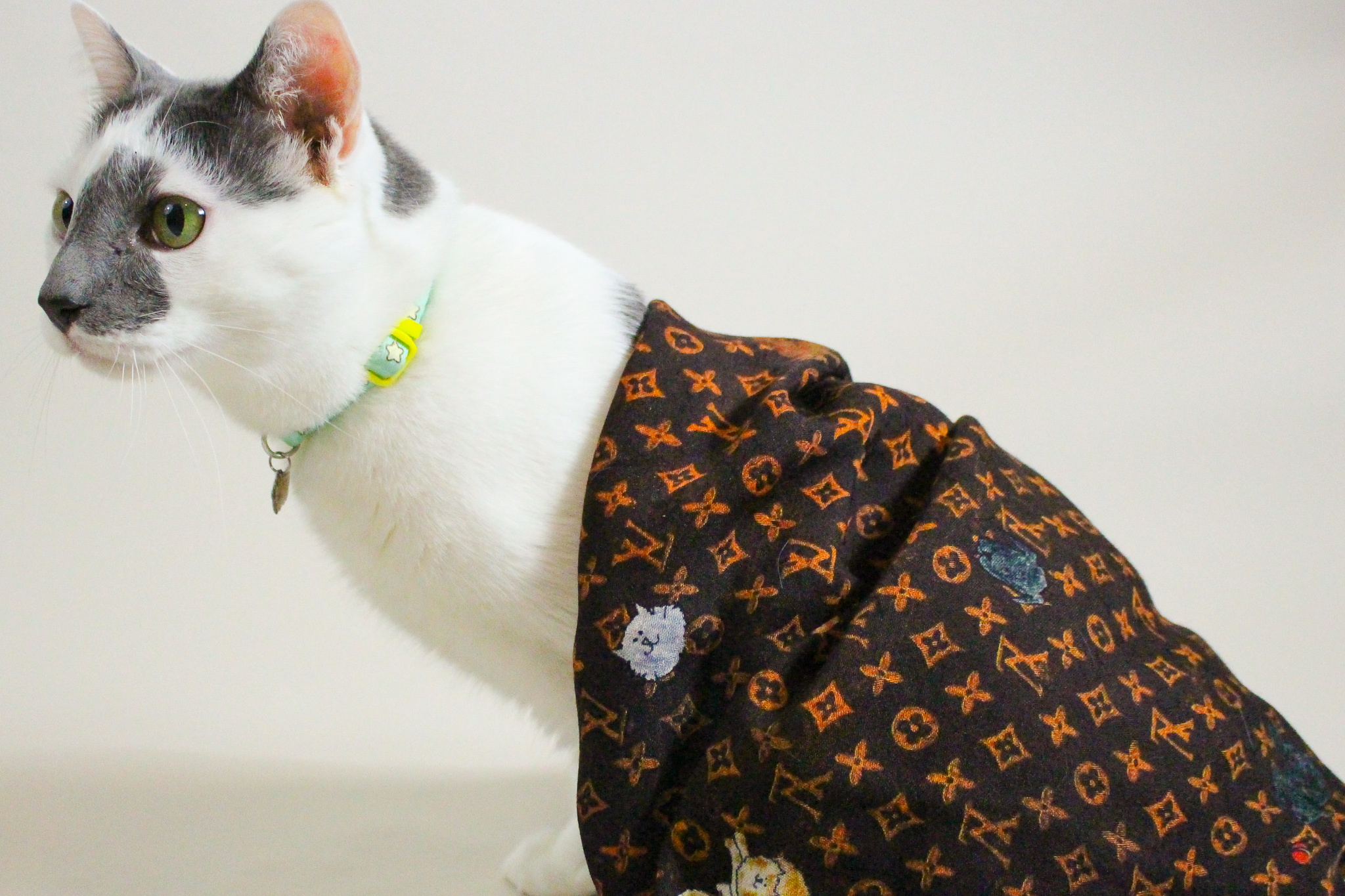 Whisker Fabulous Absolutely Fabulous The Louis Vuitton Catogram