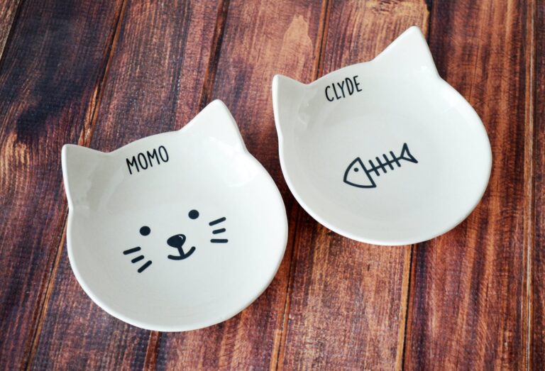 Etsy Cat Food Bowls