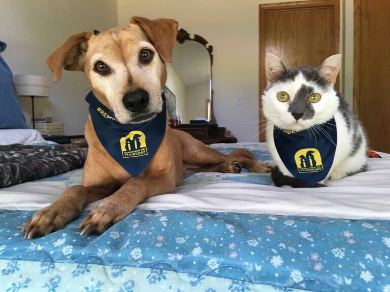 Whisker Fabulous' Josie and Farley Showcase Remember Me Thursday