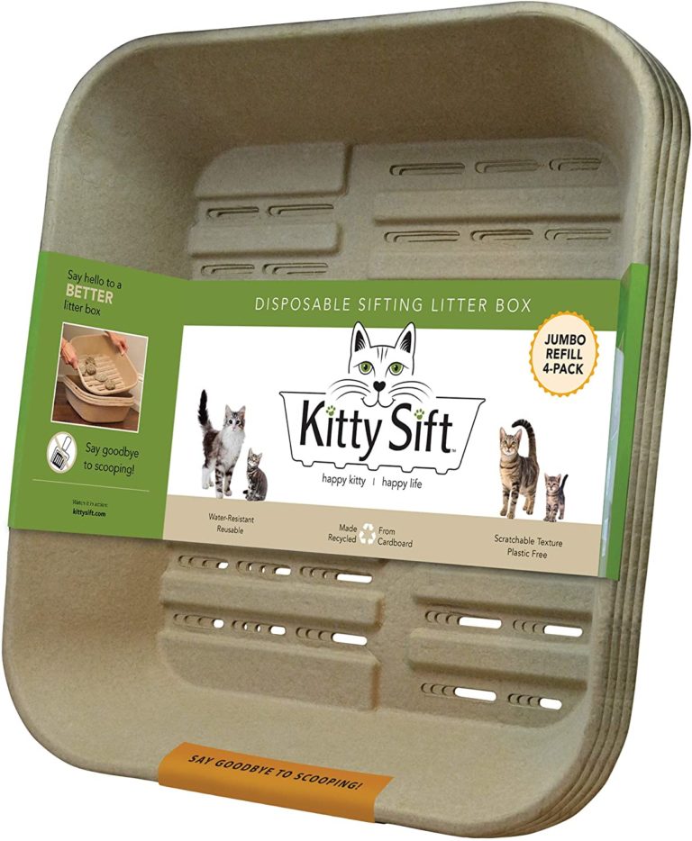 Whisker Fabulous How to keep your cat's litter box clean